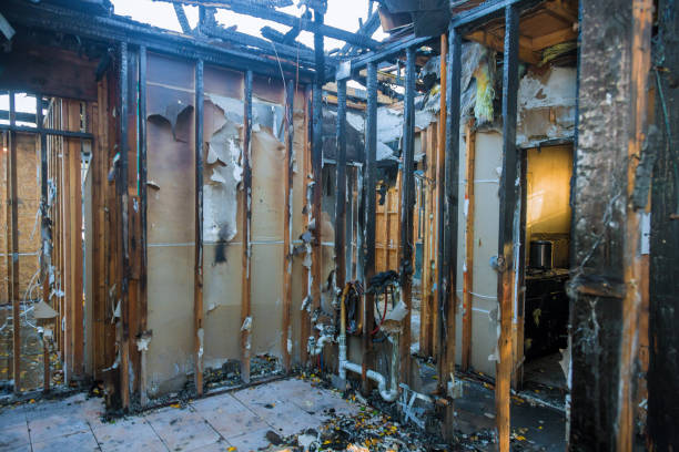 Professional Fire Damage Removal technician working in Sevierville, TN